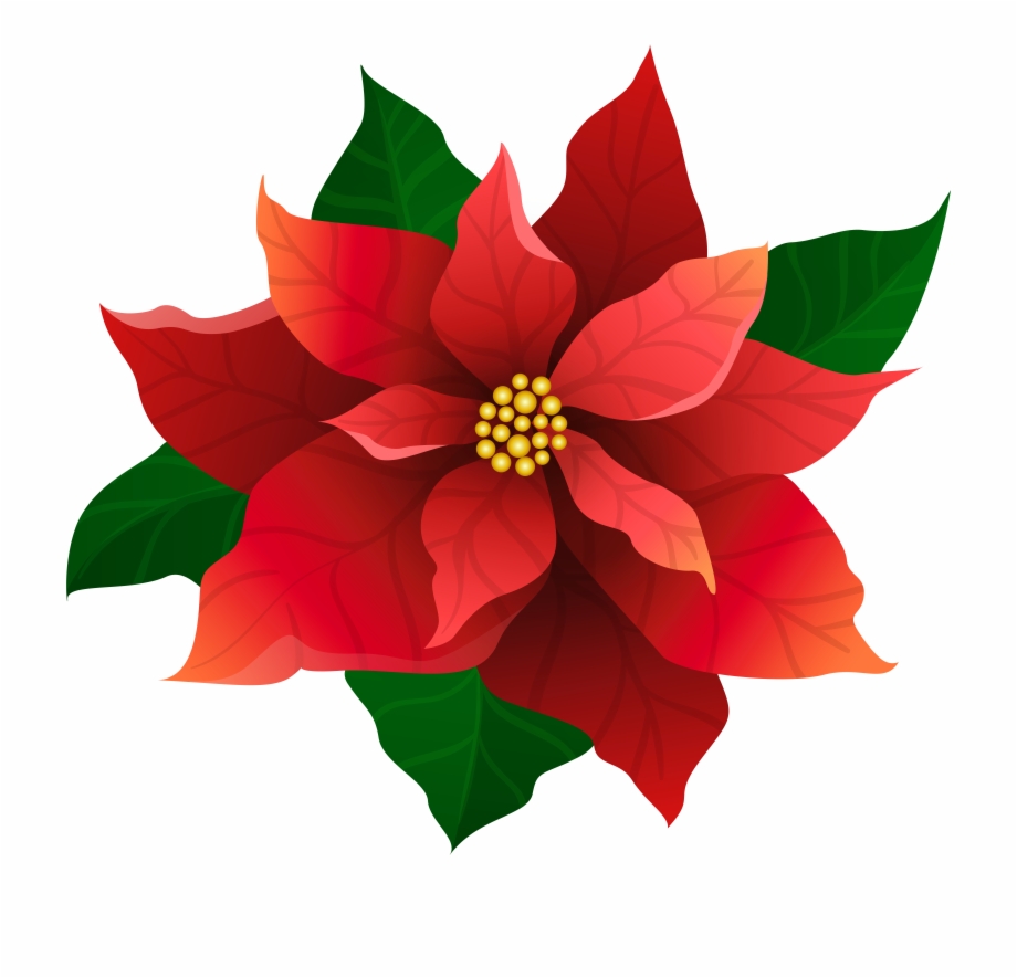 Christmas candle light free. Poinsettia clipart poinsetta