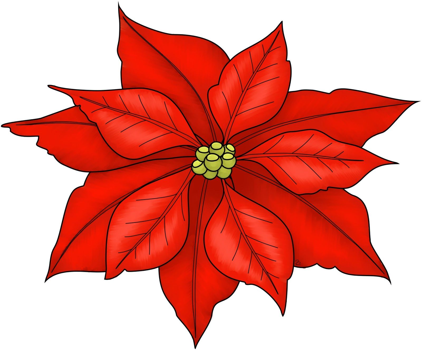 Poinsettia freebie printable would. Poinsettias clipart holiday