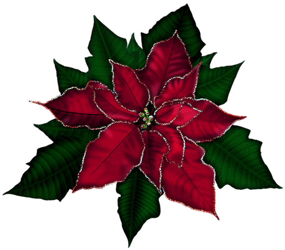 Poinsettia clipart stationary. Free pictures download clip