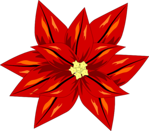 poinsettia clipart vector