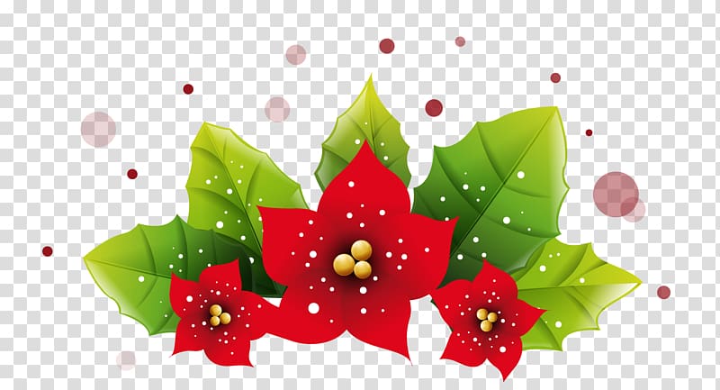poinsettias clipart decoration