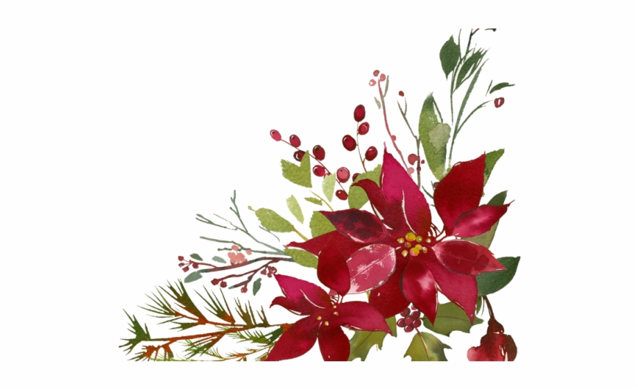 poinsettias clipart floral