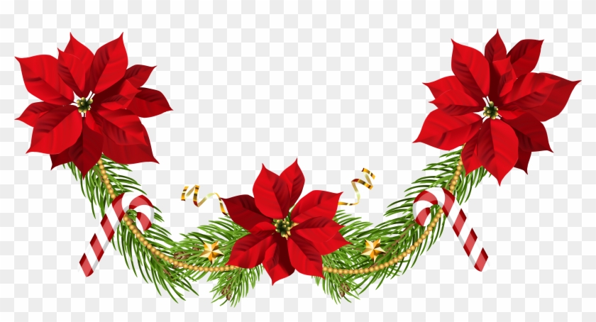 Image stock christmas clip. Poinsettias clipart poinsettia corner