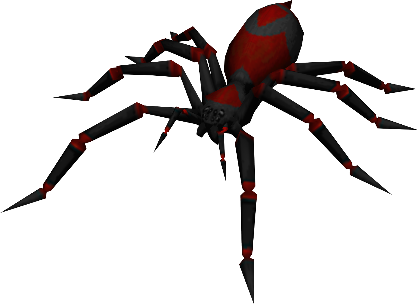 Spider giant spider