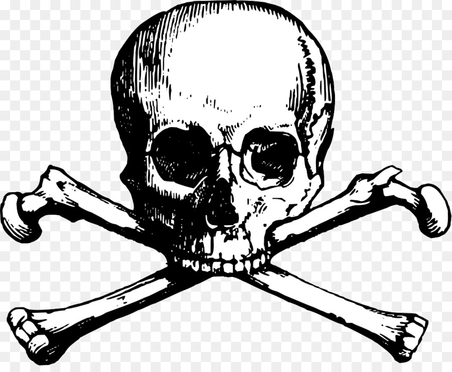 poison clipart skull bone