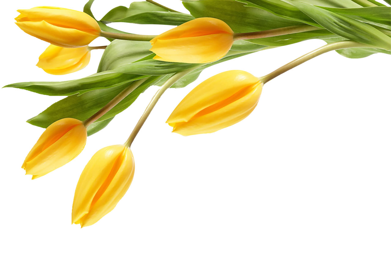 Poker clipart pinochle. Sunday monday tuesday wednesday