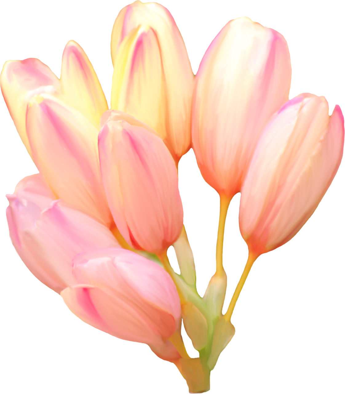 Sunday monday tuesday wednesday. Poker clipart pinochle