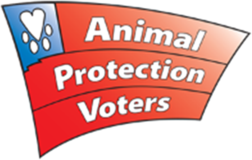politics clipart political action committee