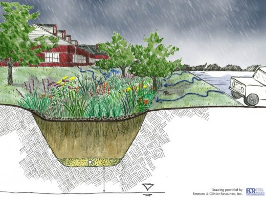 Pollution clipart garden. Rain gardens complement climate