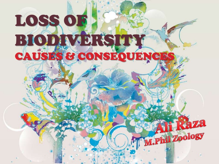 Pollution clipart habitat loss. Biodiversity 