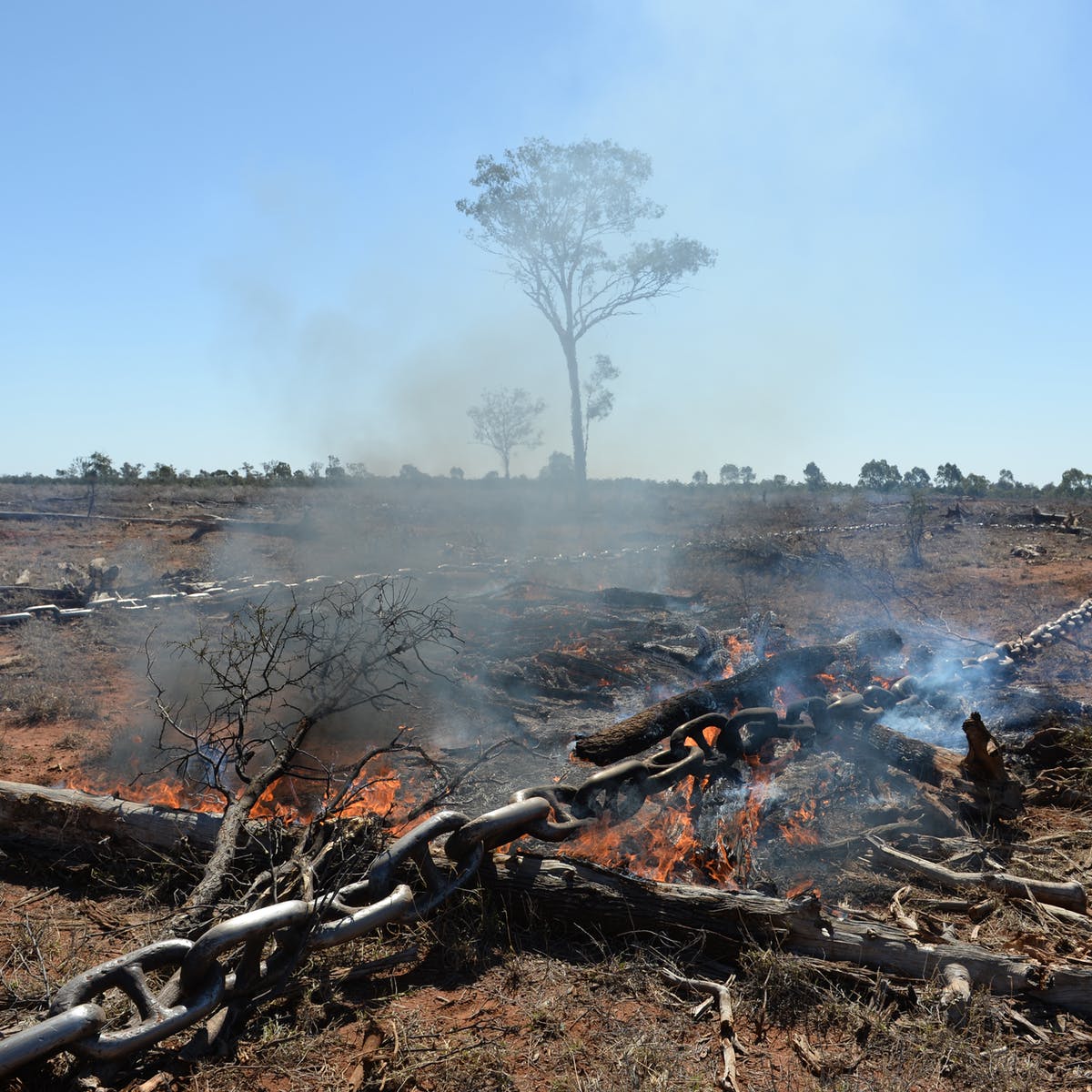 Pollution clipart habitat loss, Pollution habitat loss Transparent FREE