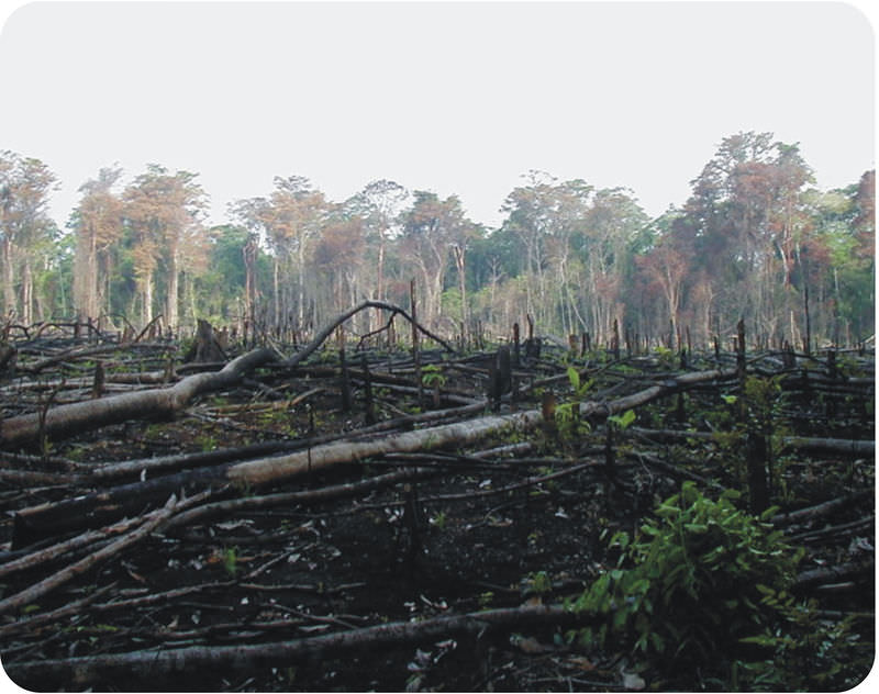 Pollution clipart habitat loss, Pollution habitat loss Transparent FREE