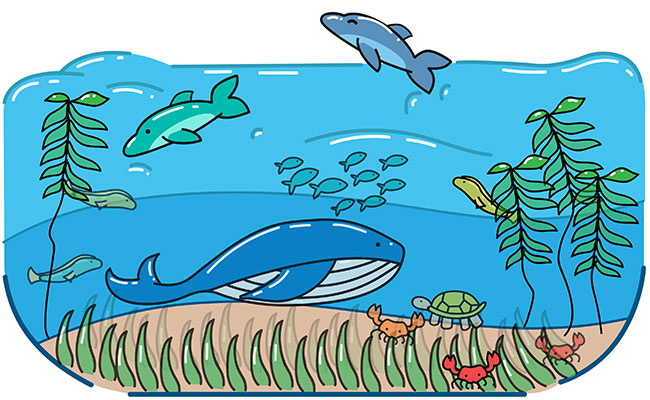 pollution clipart marine pollution