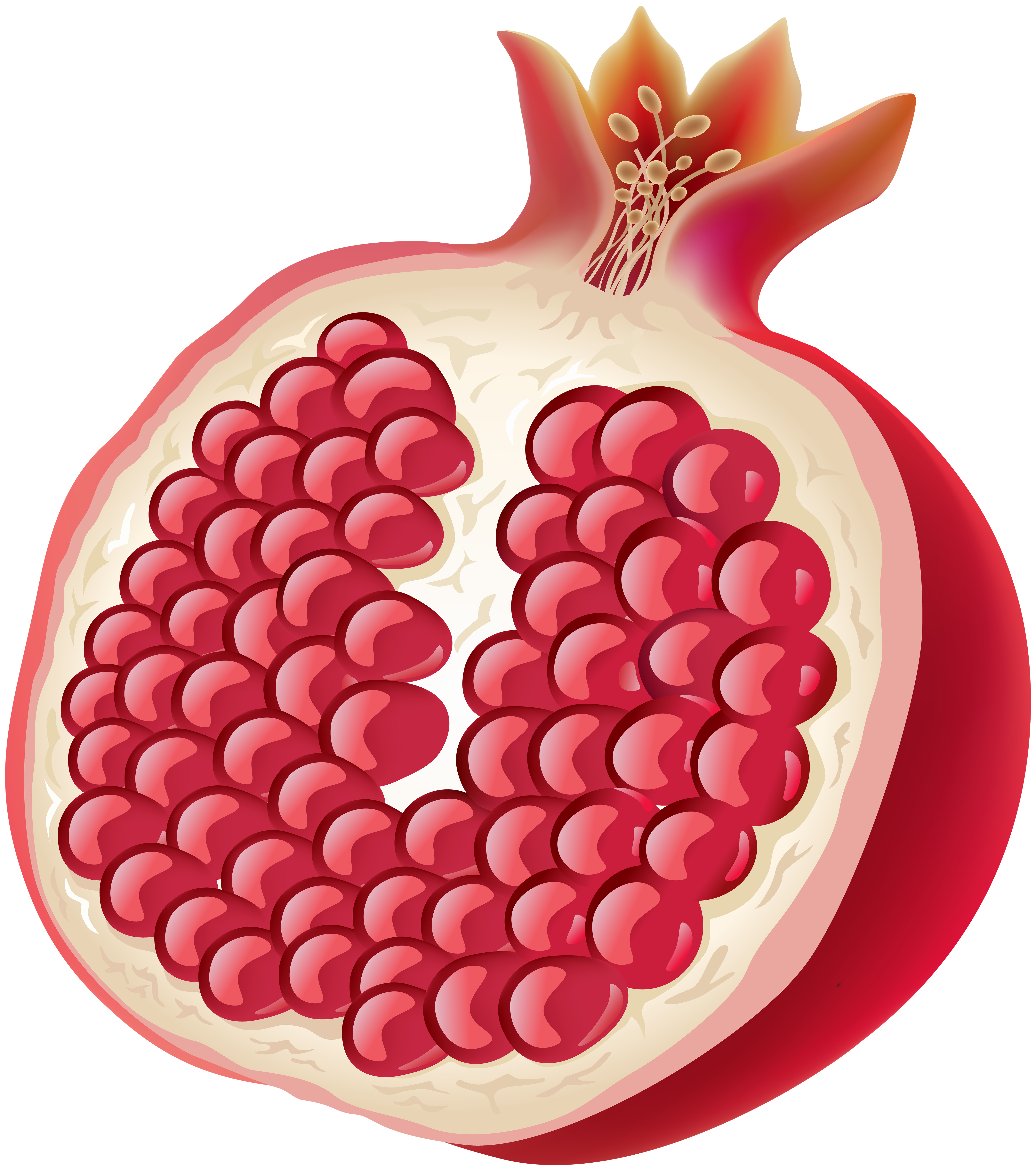 pomegranate clipart