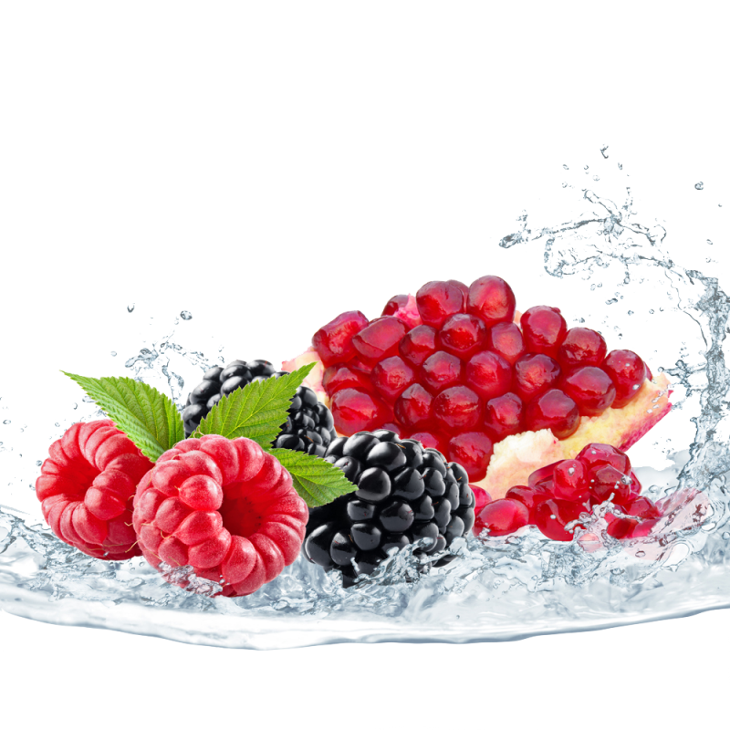 pomegranate clipart berry