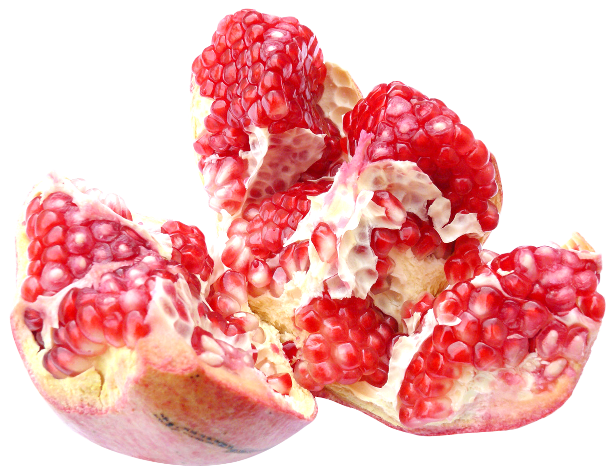 pomegranate clipart berry
