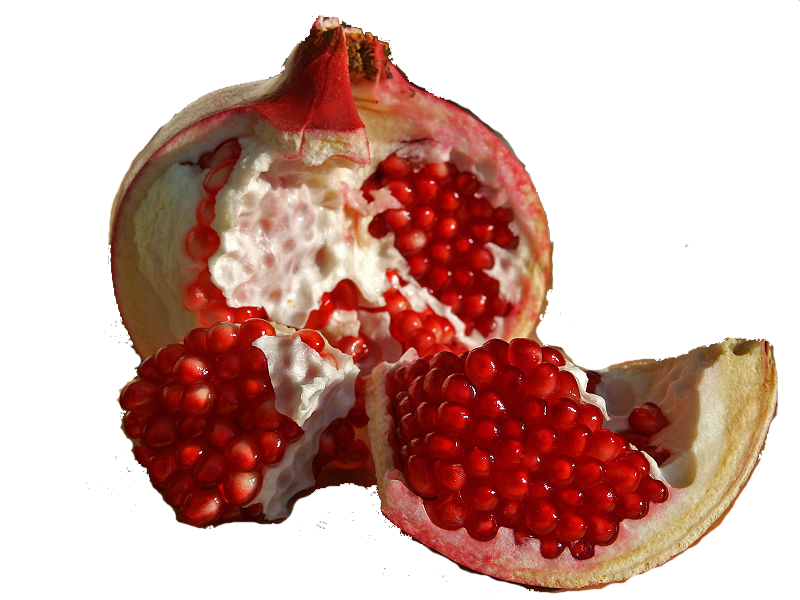 pomegranate clipart berry