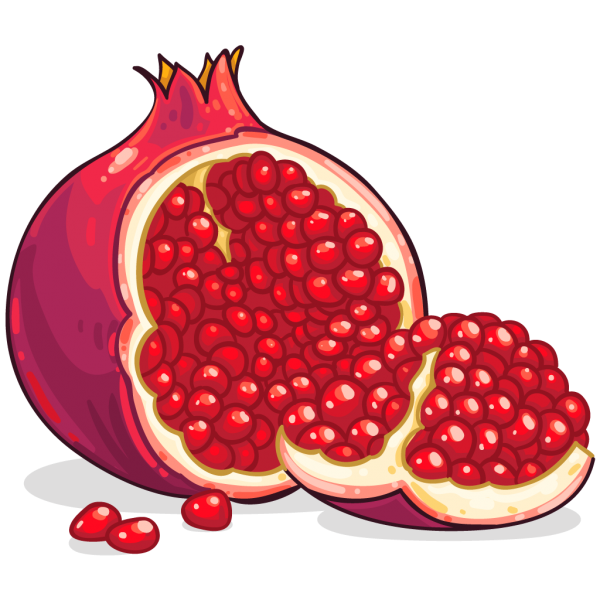 Nice download free png. Pomegranate clipart clip art