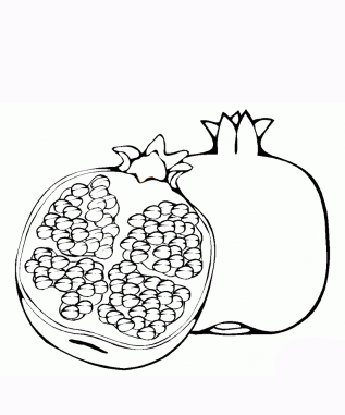 Images wow com image. Pomegranate clipart coloring