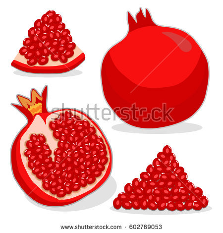 pomegranate clipart cute