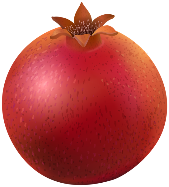 pomegranate clipart half