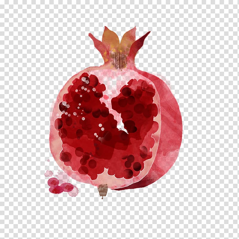 pomegranate clipart hand drawn