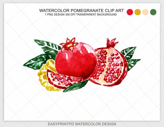 Watercolor clip art instant. Pomegranate clipart illustration