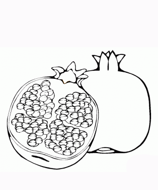 pomegranate clipart line art