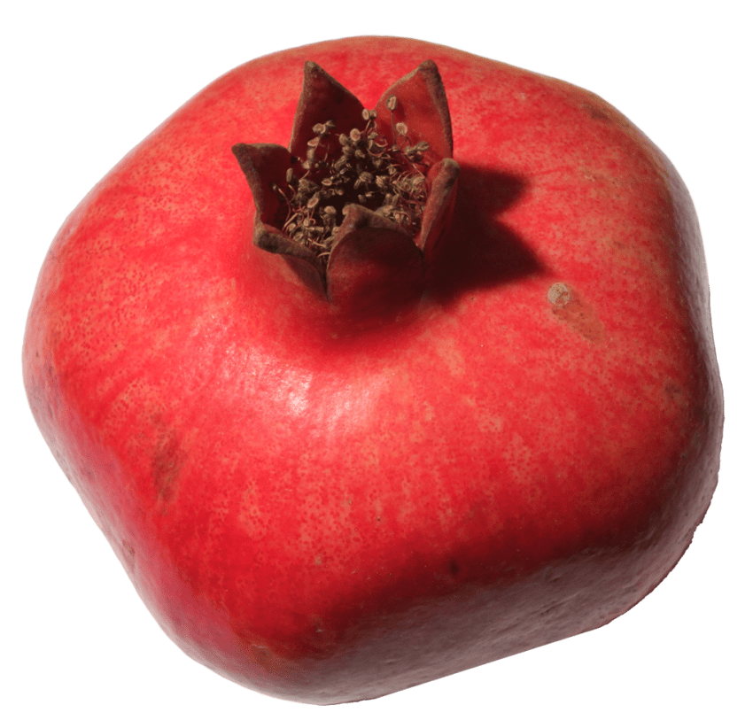 pomegranate clipart one