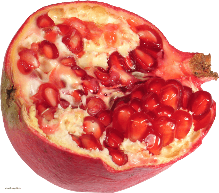 pomegranate clipart one