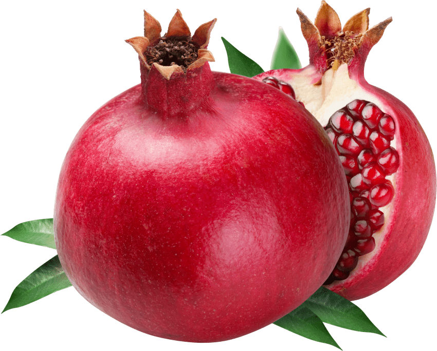 pomegranate clipart slice