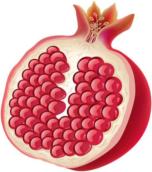 pomegranate clipart vector
