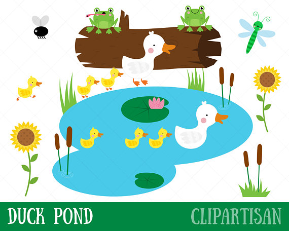 pond clipart