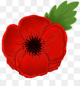 Free download remembrance drawing. Poppy clipart