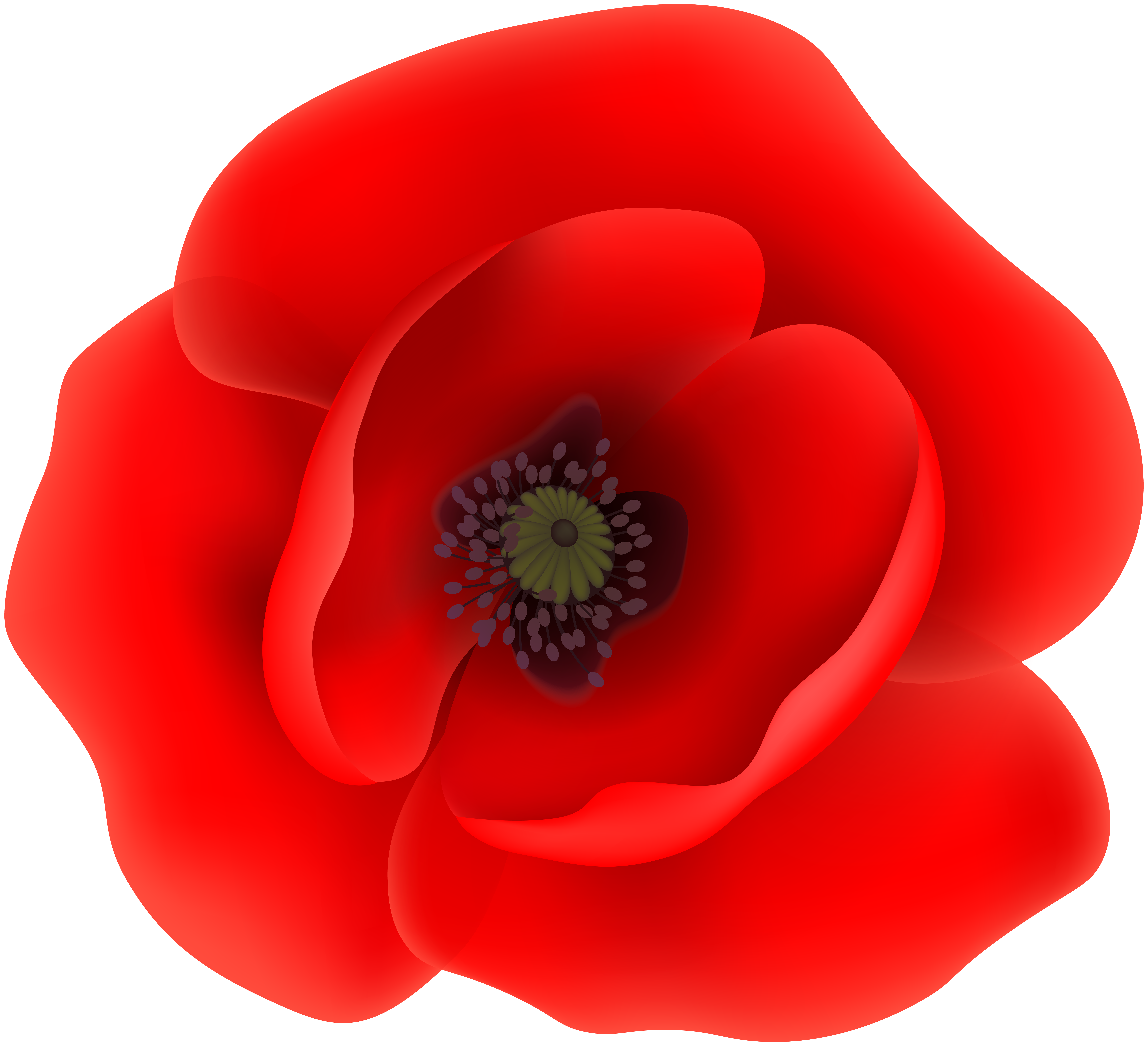 Clip art transparent image. Poppy flower png