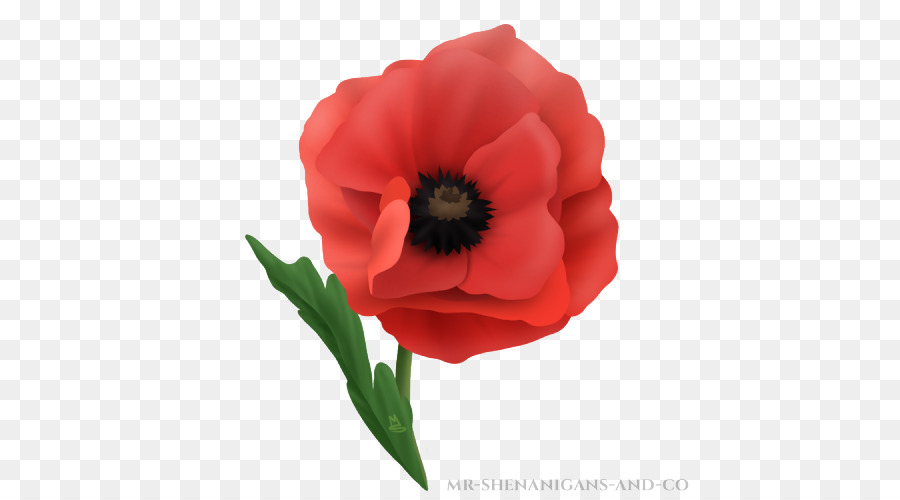 poppy clipart flanders field