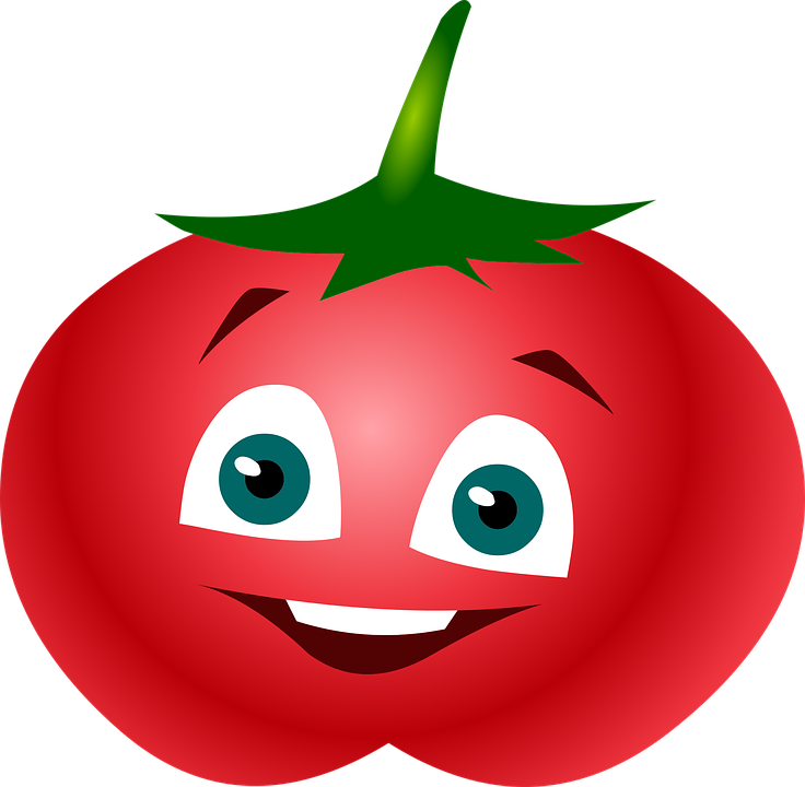 Tomatoes drawing