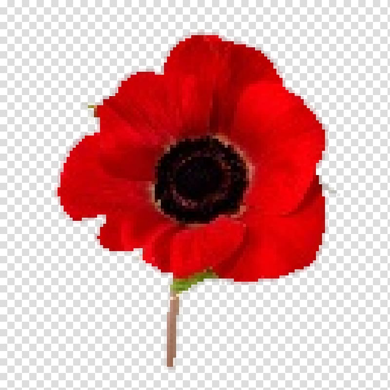 poppy clipart lest we forget