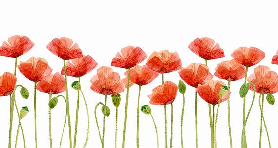 Poppy clipart poppy field. Digital watercolor poppies flower