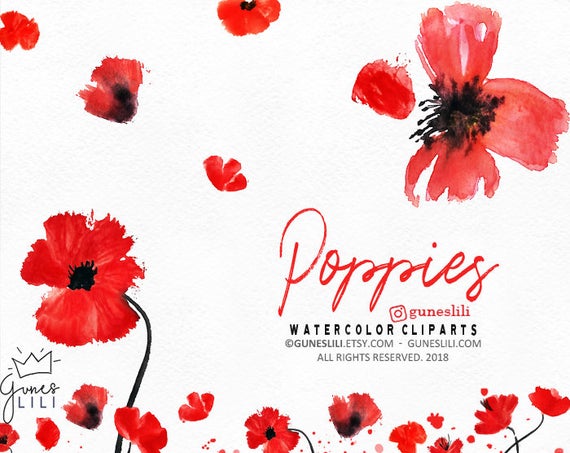 Watercolor red floral flowers. Poppy clipart poppy wreath