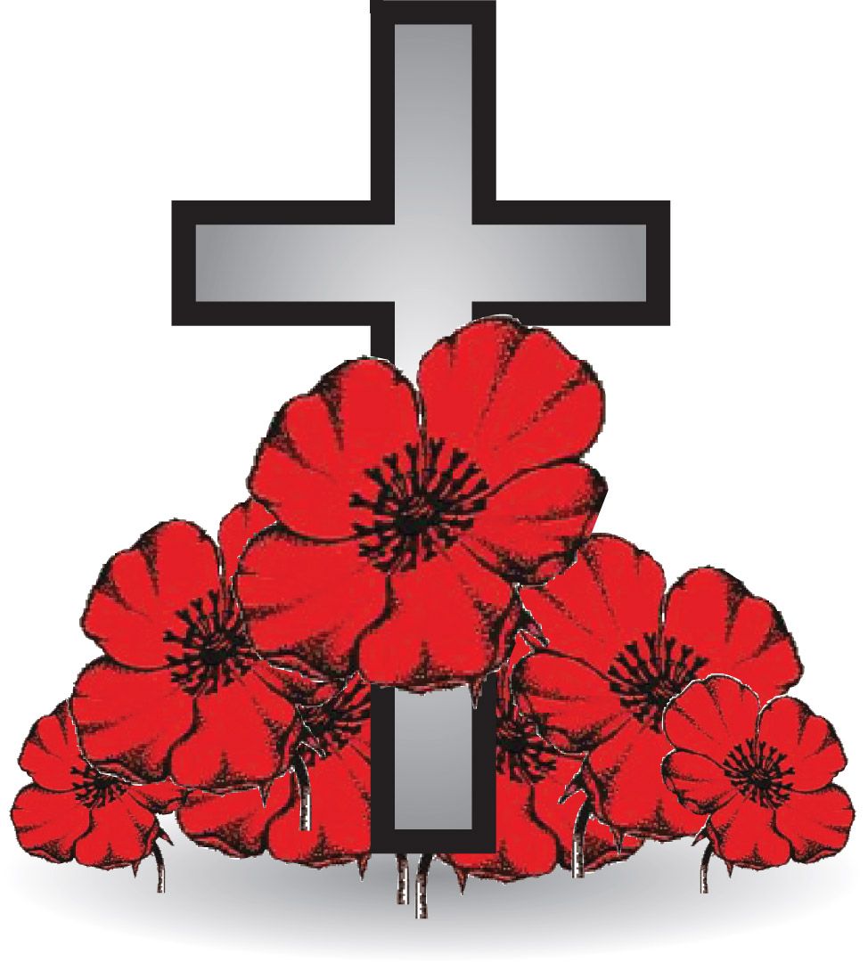 remembrance day transparent background poppy png