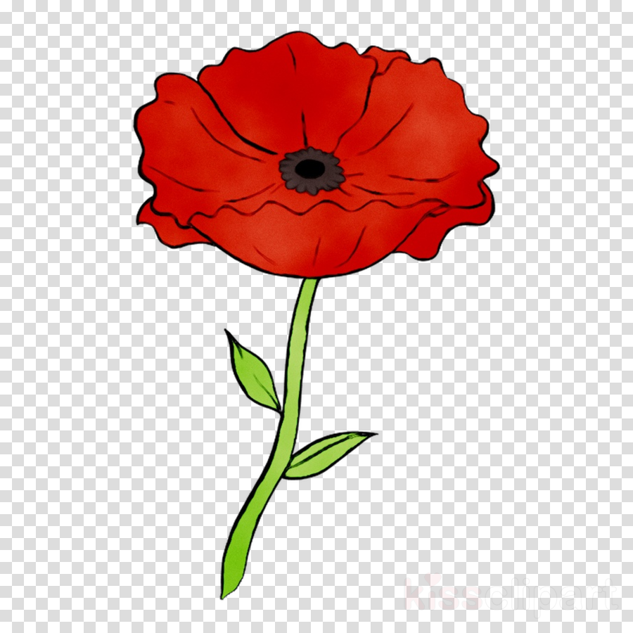 Poppy clipart single poppy, Poppy single poppy Transparent FREE for