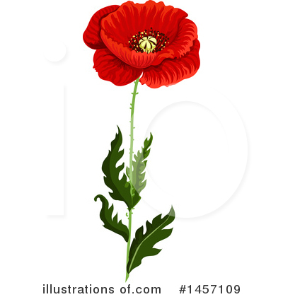Poppy clipart stems, Poppy stems Transparent FREE for download on ...