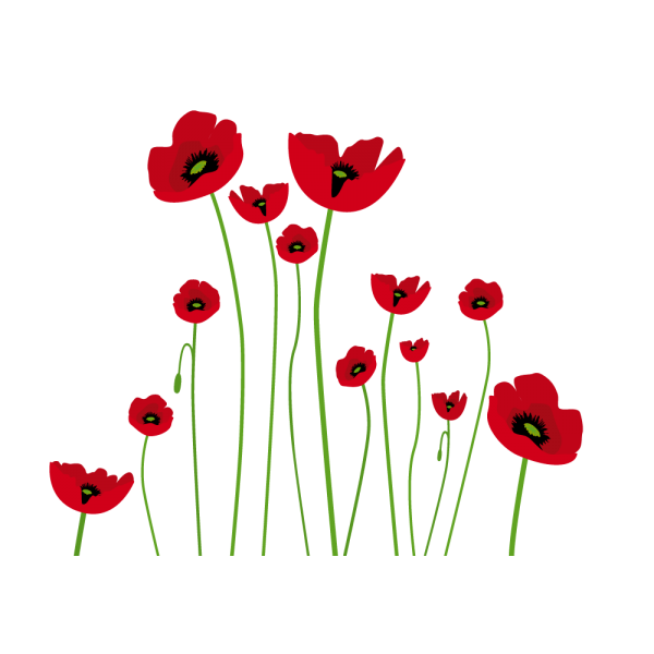 poppy clipart three