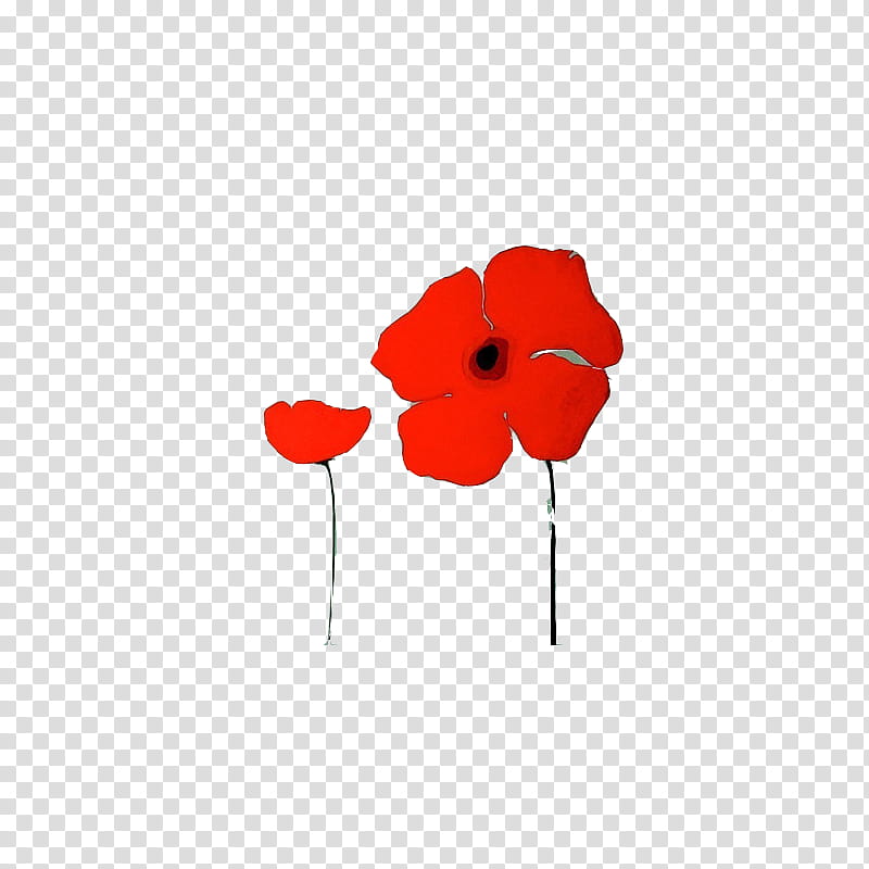Red flower illustration transparent. Poppy clipart two