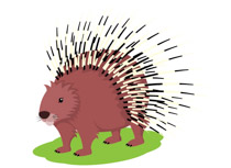 porcupine clipart