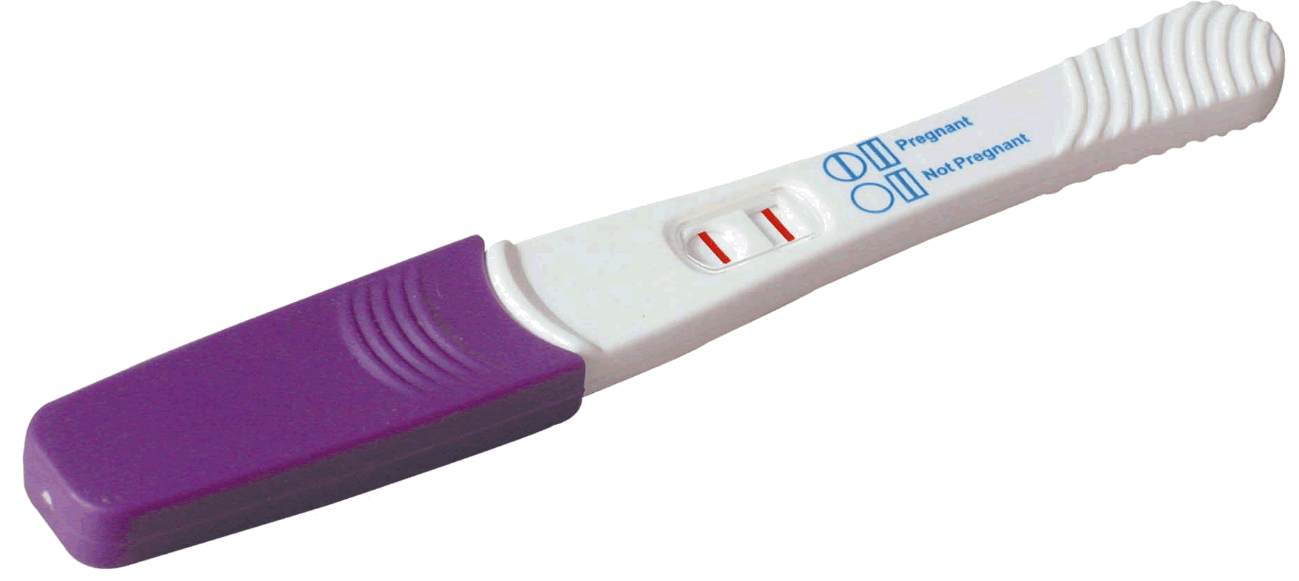 Fertility . Pregnancy clipart positive pregnancy test