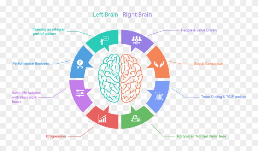 Left hand brain the. Positive clipart progression