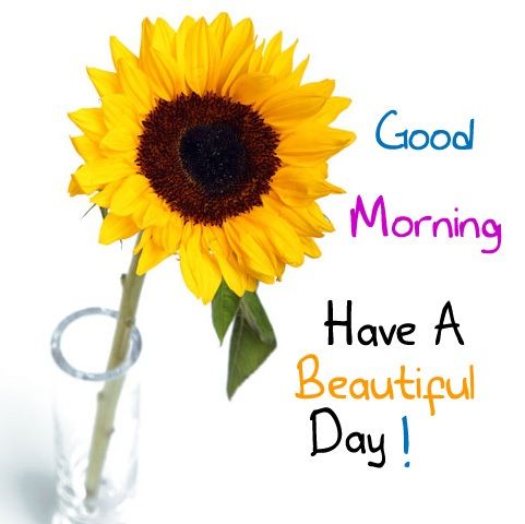 Positive clipart wonderful day. Good morning have a