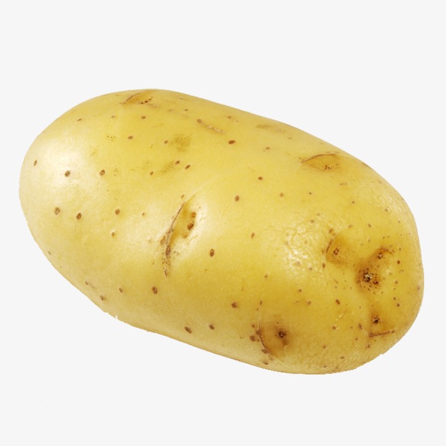 potato clipart